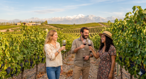 Coordinador Universitario en Enoturismo y Experiencias del Vino