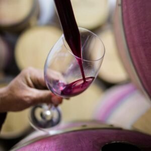 Curso de cata de vinos en Entre Ríos