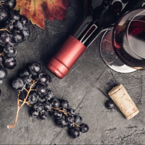 INICIACIÓN AL MUNDO DEL VINO