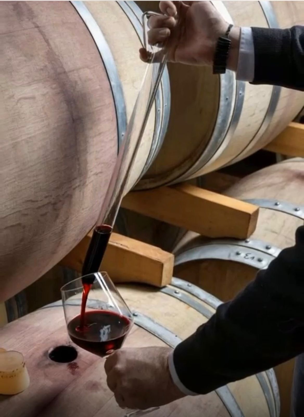 Diplomatura Universitaria en Enología y Dirección de Bodega